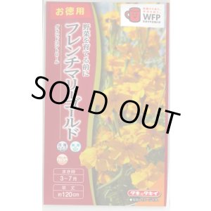 画像: 送料無料　花の種　お徳用パック！フレンチマリーゴールド　グランドコントロール　タキイ種苗(株)(NL500)