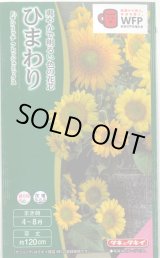 画像: 送料無料　花の種　ひまわり　サンリッチフレッシュミックス　小袋　タキイ種苗(株)NL300