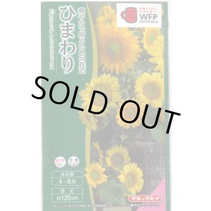 画像: 送料無料　花の種　ひまわり　サンリッチフレッシュミックス　小袋　タキイ種苗(株)NL300