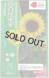 画像: 送料無料　花の種　ひまわり　スマイルラッシュ　(約20粒)　タキイ種苗(株)(NL300)