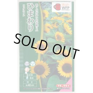 画像: 送料無料　花の種　ひまわり　ビッグスマイル(約15粒)　タキイ種苗(株)　NL300