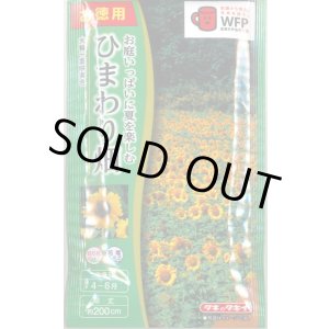画像: 送料無料　花の種　お徳用パック！ひまわり畑　大輪一重咲黄色　タキイ種苗(株)NL500