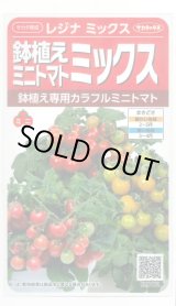 画像: 送料無料　[トマト/ミニトマト]　レジナミックス　約75粒 (株)サカタのタネ 実咲350（107809）