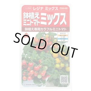 画像: 送料無料　[トマト/ミニトマト]　レジナミックス　約75粒 (株)サカタのタネ 実咲350（107809）