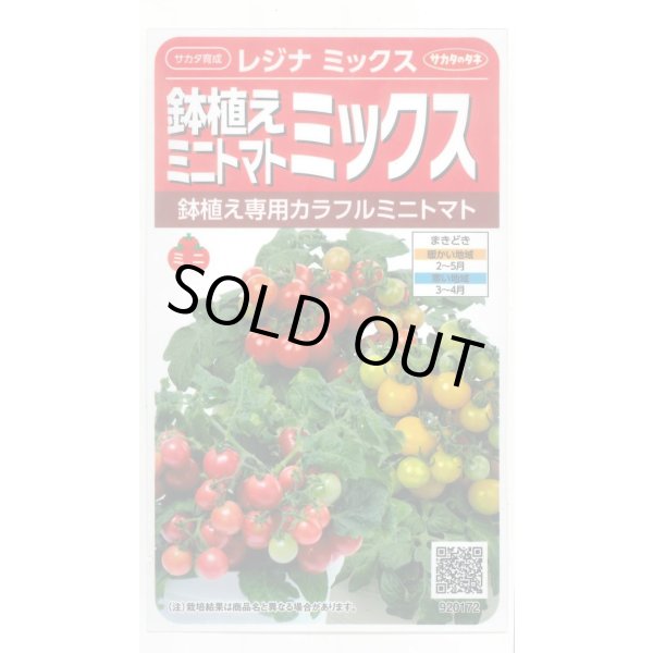 画像1: 送料無料　[トマト/ミニトマト]　レジナミックス　約75粒 (株)サカタのタネ 実咲350（107809） (1)