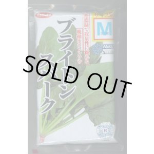 画像: [ほうれんそう]　ブライトンスパーク　3万粒　種子サイズ：M（株）サカタのタネ