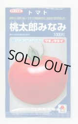 画像: 送料無料　[トマト/桃太郎系]桃太郎みなみ　1000粒　タキイ種苗(株)