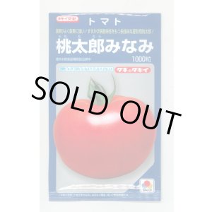 画像: 送料無料　[トマト/桃太郎系]桃太郎みなみ　1000粒　タキイ種苗(株)