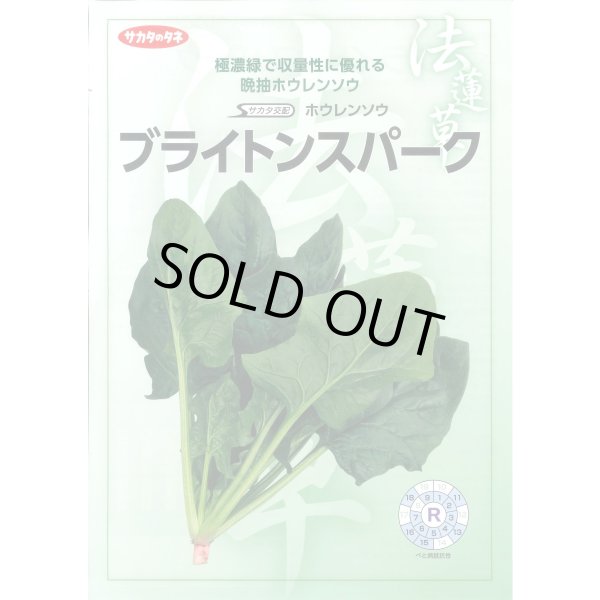 画像2: [ほうれんそう]　ブライトンスパーク　約900粒（株）サカタのタネ　実咲350（107811） (2)