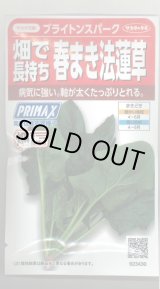 画像: [ほうれんそう]　ブライトンスパーク　約900粒（株）サカタのタネ　実咲350（107811）