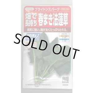 画像: [ほうれんそう]　ブライトンスパーク　約900粒（株）サカタのタネ　実咲350（107811）