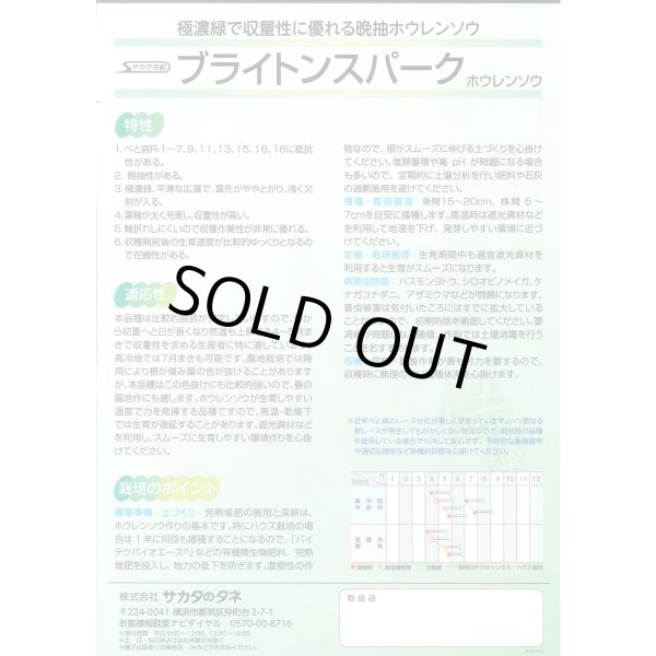 画像3: [ほうれんそう]　ブライトンスパーク　3万粒　種子サイズ：M（株）サカタのタネ (3)