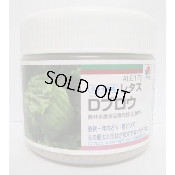 画像1: 送料無料　[レタス]　Dブロウ　ペレット5千粒　タキイ種苗(株) (1)