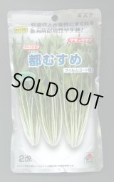 画像: 水菜 都むすめ 2dl タキイ種苗(株)