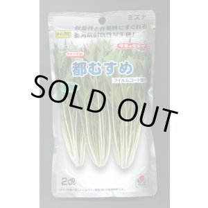 画像: 水菜 都むすめ 2dl タキイ種苗(株)
