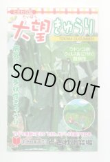 画像: 送料無料　[キュウリ]　大望　20粒　(株)ときわ研究場