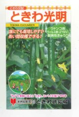 画像: 送料無料　[キュウリ]　ときわ光明　20粒　(株)(株)ときわ研究場
