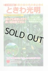 画像: 送料無料　[キュウリ]　ときわ光明　20粒　(株)ときわ研究場
