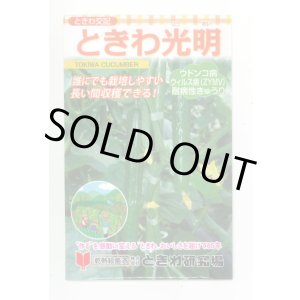画像: 送料無料　[キュウリ]　ときわ光明　20粒　(株)ときわ研究場