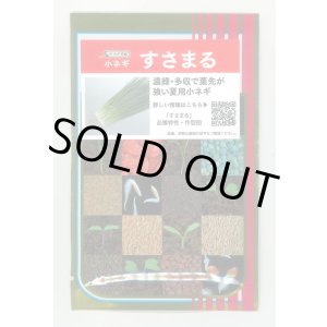 画像: 送料無料　[ねぎ]　小ねぎ　すさまる　　20ml （約3200粒）（株）サカタのタネ
