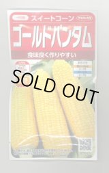 画像: 送料無料　[とうもろこし]　ゴールドバンタム　20ml(約50粒)　（株）サカタのタネ 実咲350（104070）