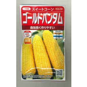 画像: 送料無料　[とうもろこし]　ゴールドバンタム　20ml(約50粒)　（株）サカタのタネ 実咲350（104070）