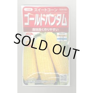 画像: 送料無料　[とうもろこし]　ゴールドバンタム　20ml(約50粒)　（株）サカタのタネ 実咲350（104070）