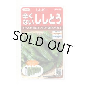 画像: 送料無料　[ピーマン]　ししピー　約20粒　(株)サカタのタネ　実咲550（002906）