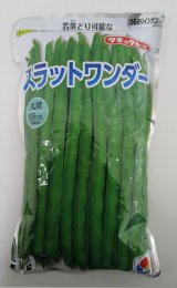 画像: [いんげん]　つるあり　スラットワンダー　1L　タキイ種苗