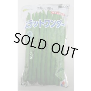 画像: [いんげん]　つるあり　スラットワンダー　1L　タキイ種苗