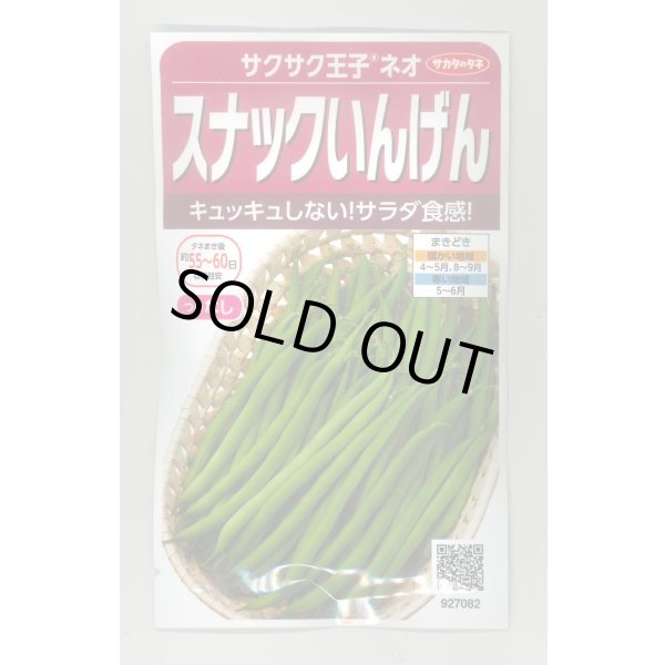 画像1: 送料無料　[いんげん]　つるなしいんげん　サクサク王子ネオ　20ml(約55粒)　（株）サカタのタネ　実咲350（003735） (1)
