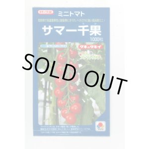 画像: 送料無料　[トマト/ミニトマト]　サマー千果　1000粒　タキイ種苗(株)