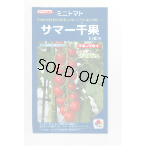 画像1: 送料無料　[トマト/ミニトマト]　サマー千果　1000粒　タキイ種苗(株) (1)
