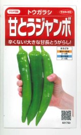画像: 送料無料　[トウガラシ]　甘とうジャンボ　　0.5ml（約25粒）　（株）サカタのタネ　実咲450（003729）