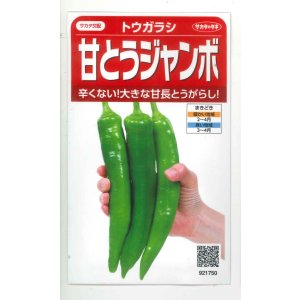画像: 送料無料　[トウガラシ]　甘とうジャンボ　　0.5ml（約25粒）　（株）サカタのタネ　実咲450（003729）