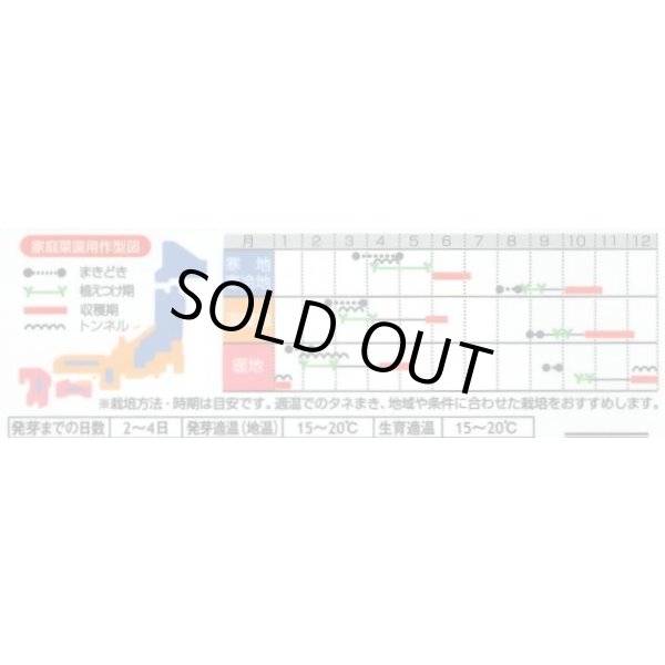 画像3: 送料無料　[レタス]　リバーグリーン　0.7ml（約200粒）（株）サカタのタネ　実咲350（003026） (3)