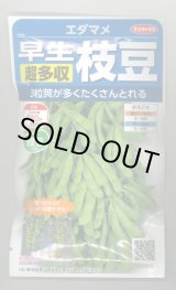 画像: 送料無料　[枝豆]　早生超多収枝豆　30ml（約60粒）（株）サカタのタネ実咲350（107806）