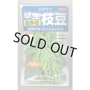 画像: 送料無料　[枝豆]　早生超多収枝豆　30ml（約60粒）（株）サカタのタネ実咲350（107806）
