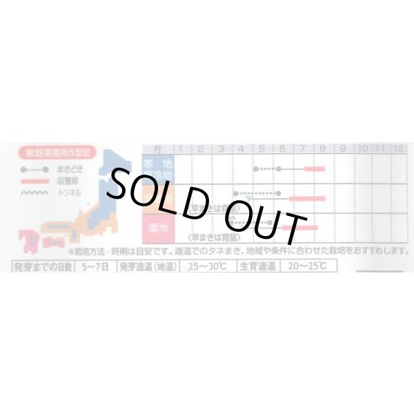 画像3: 送料無料　[枝豆]　早生超多収枝豆　30ml（約60粒）（株）サカタのタネ実咲350（107806） (3)