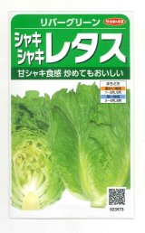 画像: 送料無料　[レタス]　リバーグリーン　0.7ml（約200粒）（株）サカタのタネ　実咲350