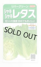 画像: 送料無料　[レタス]　リバーグリーン　0.7ml（約200粒）（株）サカタのタネ　実咲350（003026）