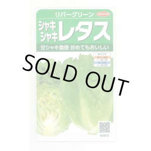 画像: 送料無料　[レタス]　リバーグリーン　0.7ml（約200粒）（株）サカタのタネ　実咲350（003026）