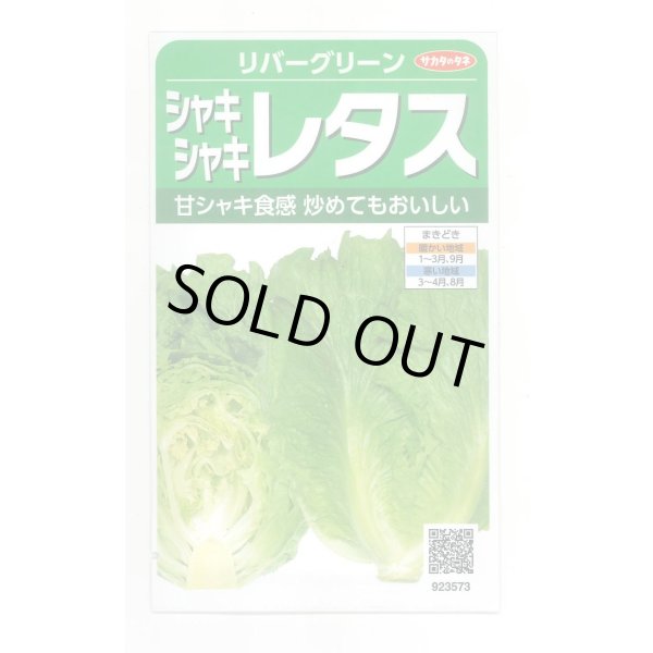 画像1: 送料無料　[レタス]　リバーグリーン　0.7ml（約200粒）（株）サカタのタネ　実咲350（003026） (1)