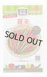 画像: 送料無料　[トウガラシ]　羅辛　12粒　（株）サカタのタネ　実咲450（107808）