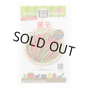 画像: 送料無料　[トウガラシ]　羅辛　12粒　（株）サカタのタネ　実咲450（107808）