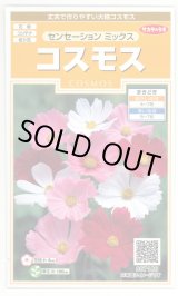 画像: 送料無料　花の種　コスモス　センセーションミックス　約90粒　（株）サカタのタネ　実咲200（026328）