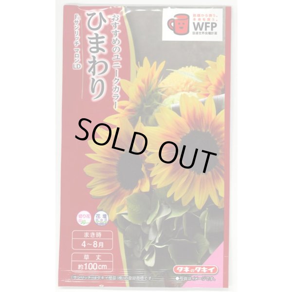 画像1: 花の種 ひまわり F1サンリッチマロンLD 3ml タキイ種苗（株） NL300 (1)