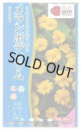 画像: 送料無料　花の種　メランポディウム　ジャックポット　約30粒  タキイ種苗（株）　NL300　