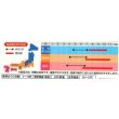 画像2: 送料無料　花の種　コスモス　センセーションミックス　約90粒　（株）サカタのタネ　実咲200（026328） (2)