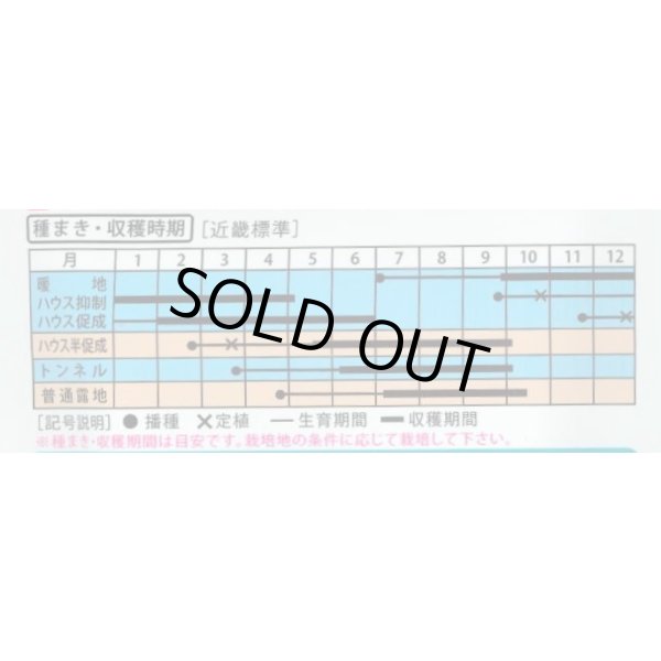 画像4: 送料無料　[オクラ]　ストロンググリーン　10ml（約110粒)（株）大和農園 (4)